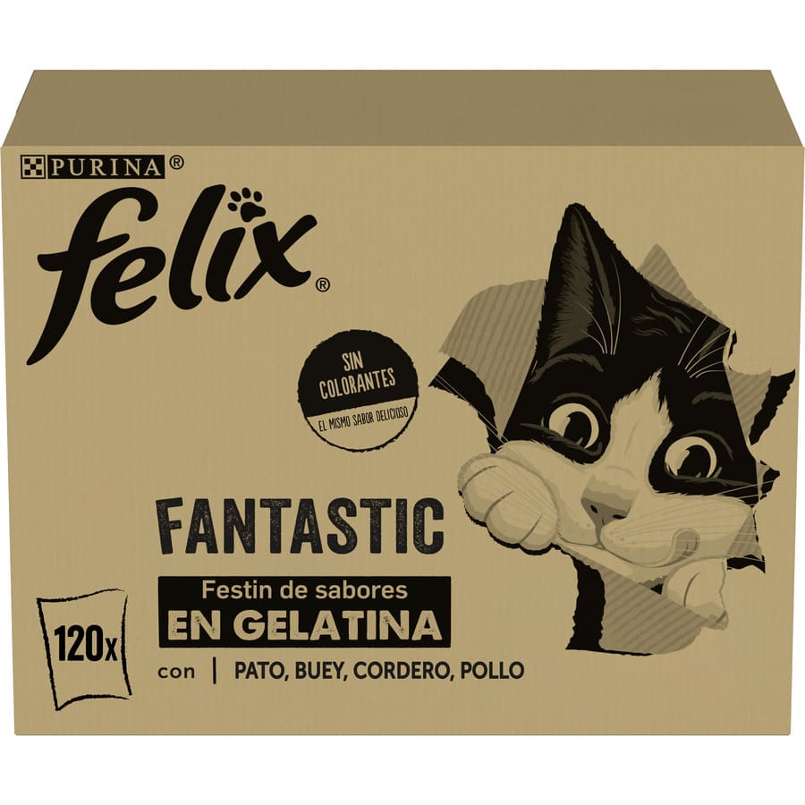 Felix Fantastic Selecciones Favoritas de Carnes en Gelatina sobre para gatos – Multipack 120